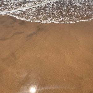 Meet your Posher, Sonny